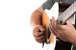Electric Acoustic Guitarist