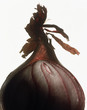onion
