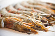 Fresh and big raw tiger prawn still with shell on