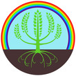 Green tree under rainbow