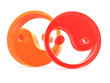 yin yang elements