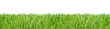 Grass 4