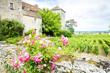 Gevrey-Chambertin Castle, Cote de Nuits, Burgundy, France Gevrey-Chambertin Castle, Cote de Nuits, Burgundy, France