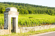 Latricieres vineyard, Chambertin, Cote de Nuits, Burgundy, Franc Latricieres vineyard, Chambertin, Cote de Nuits, Burgundy, Franc