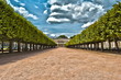 Place Carrière Palais du Gouverneur à Nancy en Lorraine HDR Place Carrière Palais du Gouverneur à Nancy en Lorraine HDR