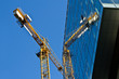Crane reflection