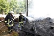 Waldbrand