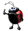 cocci ok