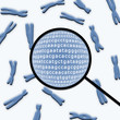 chromosome