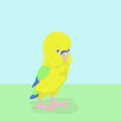 Cute little thoughtful parrot