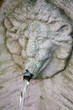 Gartenbrunnen mit Löwenkopf