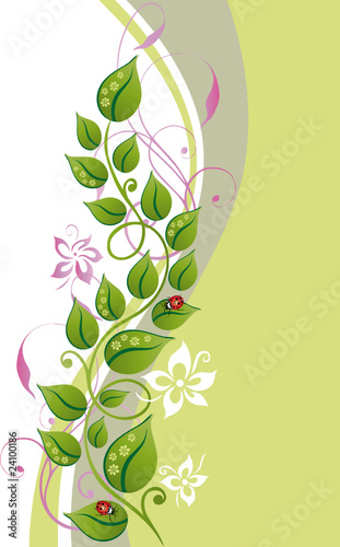 Blume, Blüte, Ranke, filigran, floral, background Blume, Blüte, Ranke, filigran, floral, background