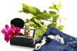 Mode cosmétique Mode cosmétique