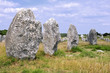Alignement de menhirs à Carnac dans le Morbihan en France Alignement de menhirs à Carnac dans le Morbihan en France