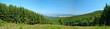 Stitched panorama of forest tree nursery with good view