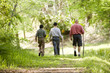 Hispanic father and sons hiking on trail in woods
