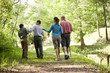 Hispanic family walking along trail in park Hispanic family walking along trail in park