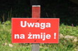 Uwaga na żmije