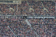 Crowd