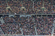 Crowd