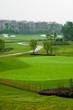 Golf grass tree