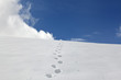 Steps ahead