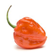 Red Hot Chilli Red Hot Chilli