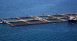 Farming fish Kefalonia Farming fish Kefalonia