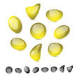Glass stones, vector