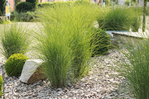 Foto: Garten Garten