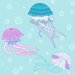 Jellyfish pattern
