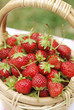 basket of strawberries