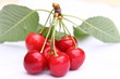 Cerises détourées