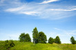 Idyllic summer landscape