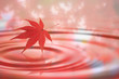 水面とモミジ