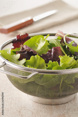 Photo: colander full of mesclun colander full of mesclun