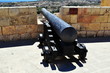 Cannone