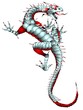 Metal Lizard Dragon Tattoo Artwork