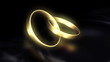 Wedding Rings Reflection Loop