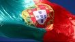 Portuguese Flag