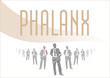 Phalanx