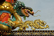Two Golden Dragon Two Golden Dragon