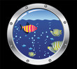 vector porthole and colorful fishes vector porthole and colorful fishes