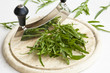 Rucola schneiden