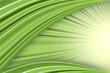 Green Background 01 Green Background 01