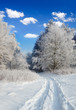 winter landscape winter landscape
