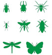 Insect set 02 Insect set 02