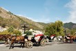 Coche de caballos