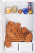 teddy bear in the refrigerator