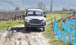 Vintage car in a vineyard